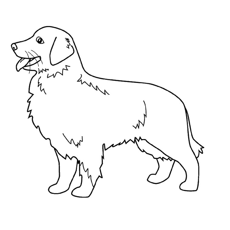 Dibujo para colorear: Cachorro (Animales) #2904 - Dibujos para colorear