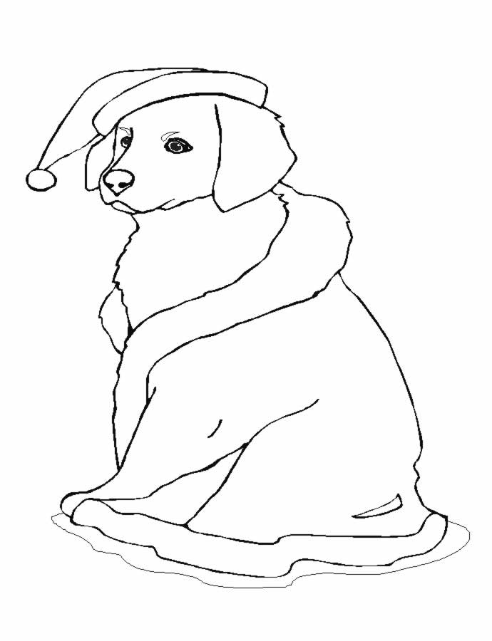 Dibujo para colorear: Cachorro (Animales) #2905 - Dibujos para Colorear e Imprimir Gratis