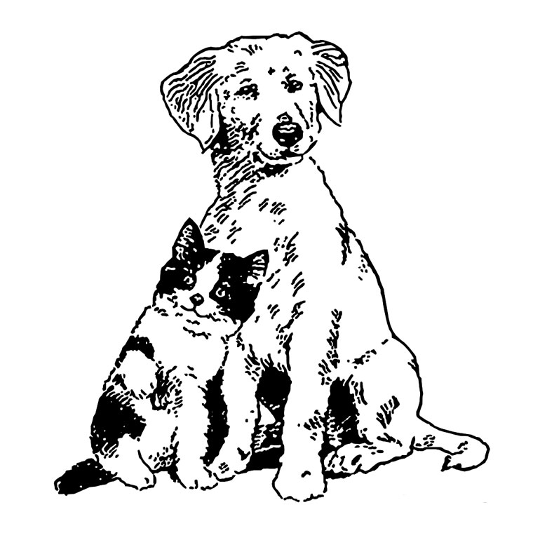 Dibujo para colorear: Cachorro (Animales) #2931 - Dibujos para colorear