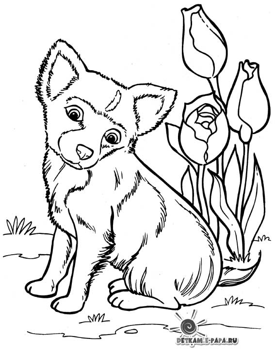 Dibujo para colorear: Cachorro (Animales) #2941 - Dibujos para colorear