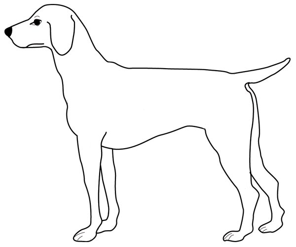 Dibujo para colorear: Cachorro (Animales) #2956 - Dibujos para colorear