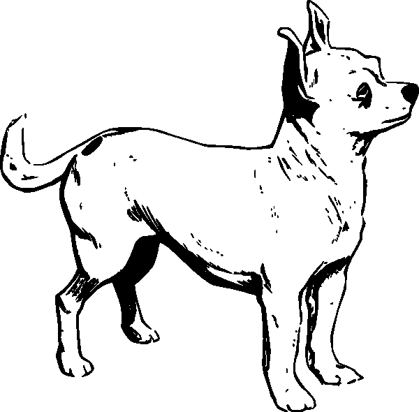 Dibujo para colorear: Cachorro (Animales) #2962 - Dibujos para Colorear e Imprimir Gratis