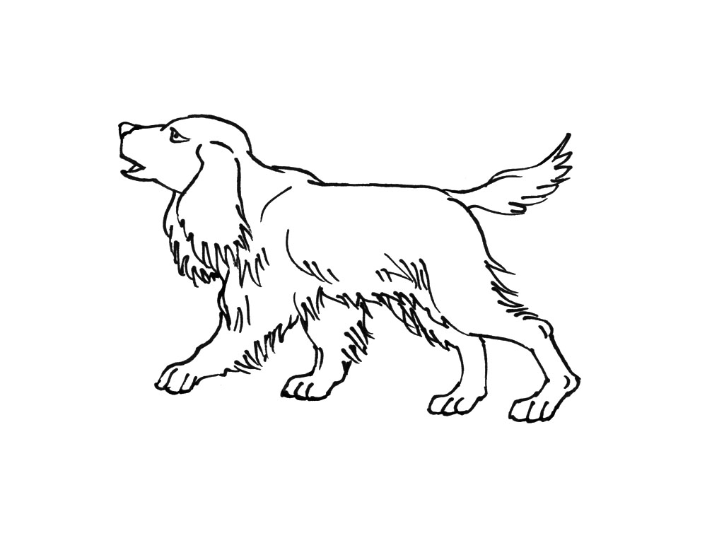 Dibujo para colorear: Cachorro (Animales) #2964 - Dibujos para colorear