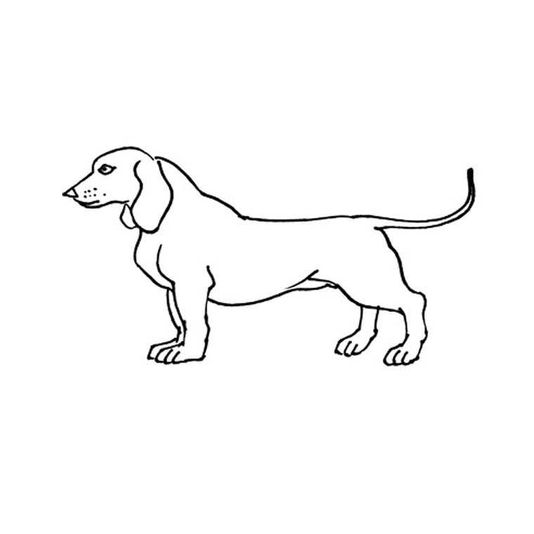 Dibujo para colorear: Cachorro (Animales) #2979 - Dibujos para colorear