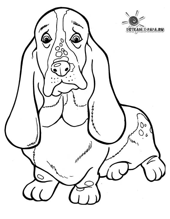 Dibujo para colorear: Cachorro (Animales) #3000 - Dibujos para colorear