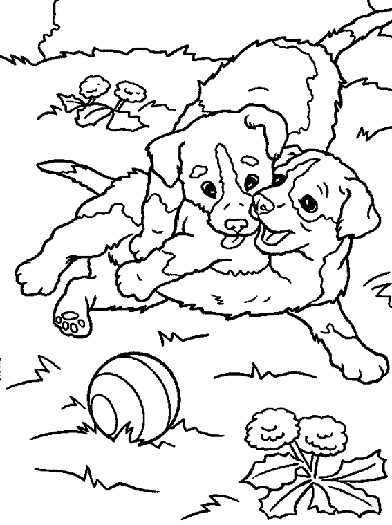Dibujo para colorear: Cachorro (Animales) #3005 - Dibujos para colorear