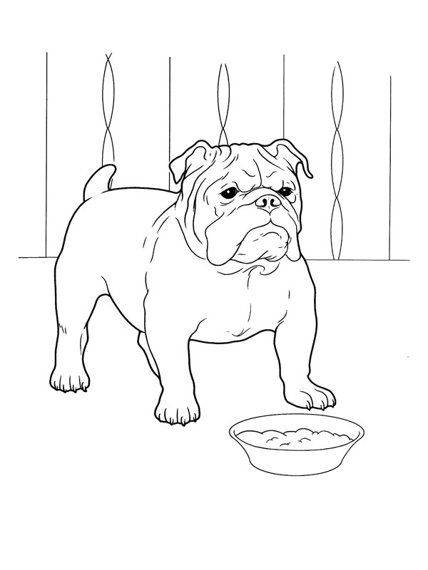 Dibujo para colorear: Cachorro (Animales) #3007 - Dibujos para colorear