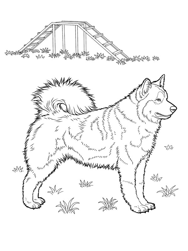 Dibujo para colorear: Cachorro (Animales) #3008 - Dibujos para colorear
