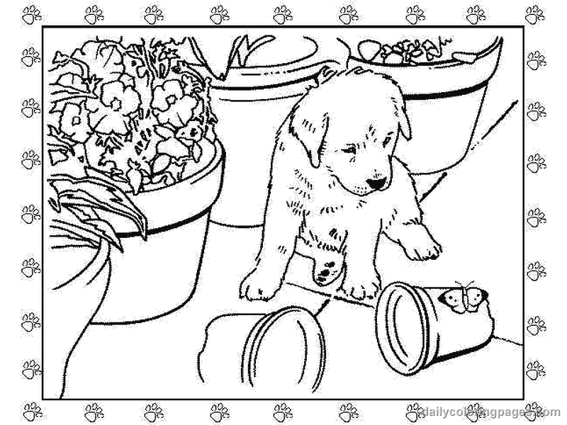 Dibujo para colorear: Cachorro (Animales) #3011 - Dibujos para colorear