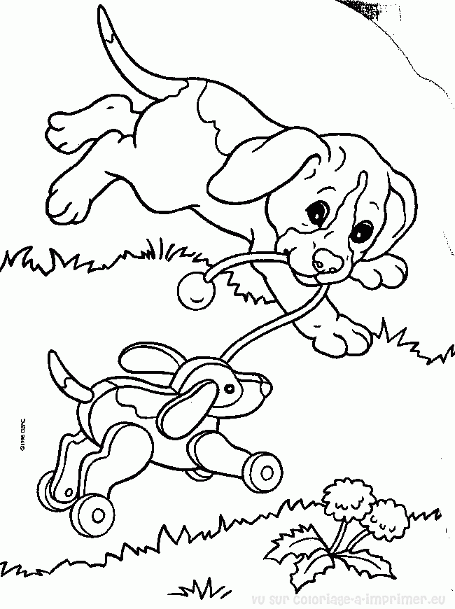 Dibujo para colorear: Cachorro (Animales) #3022 - Dibujos para colorear