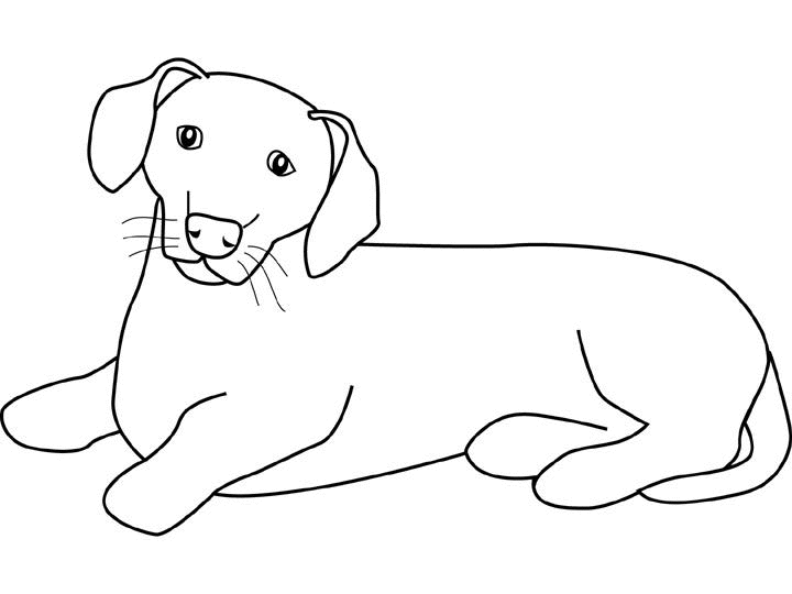 Dibujo para colorear: Cachorro (Animales) #3031 - Dibujos para colorear