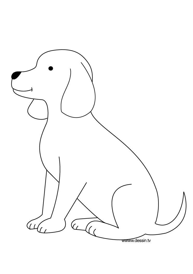 Dibujo para colorear: Cachorro (Animales) #3035 - Dibujos para colorear