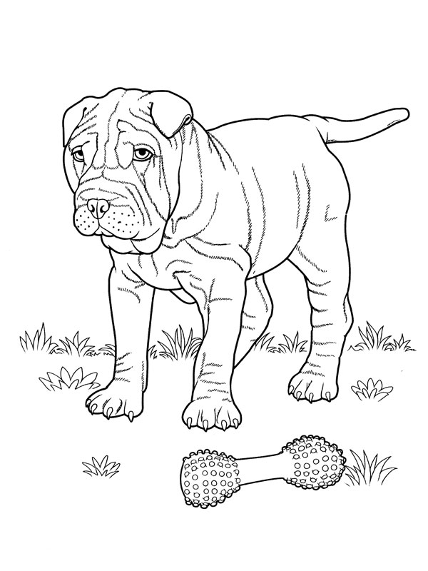 Dibujo para colorear: Cachorro (Animales) #3044 - Dibujos para colorear
