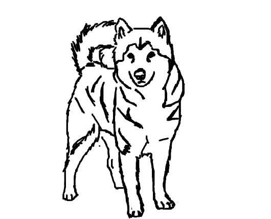 Dibujo para colorear: Cachorro (Animales) #3048 - Dibujos para colorear