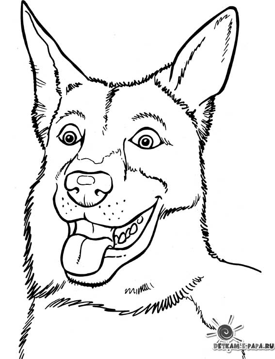 Dibujo para colorear: Cachorro (Animales) #3051 - Dibujos para colorear