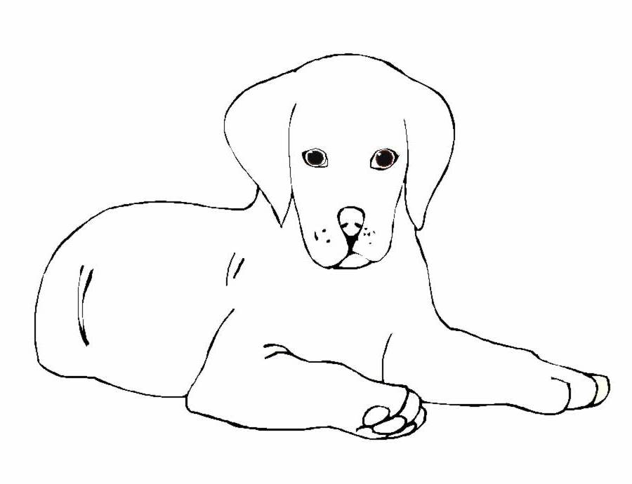 Dibujo para colorear: Cachorro (Animales) #3052 - Dibujos para Colorear e Imprimir Gratis