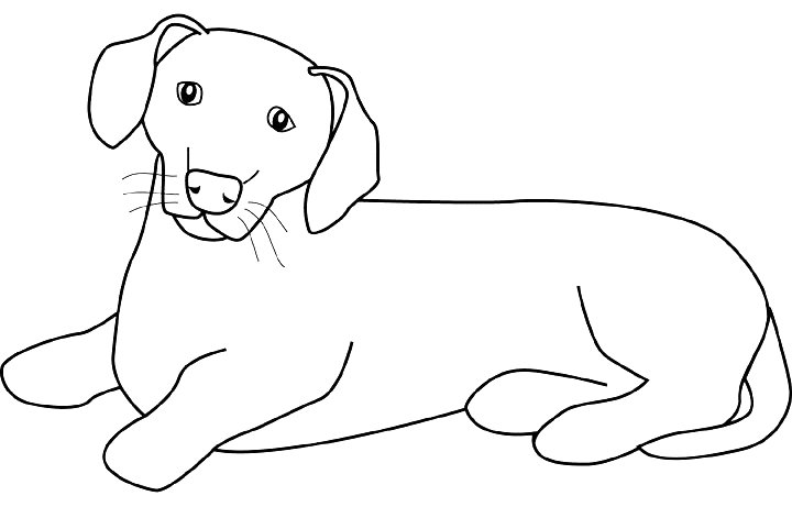 Dibujo para colorear: Cachorro (Animales) #3059 - Dibujos para colorear