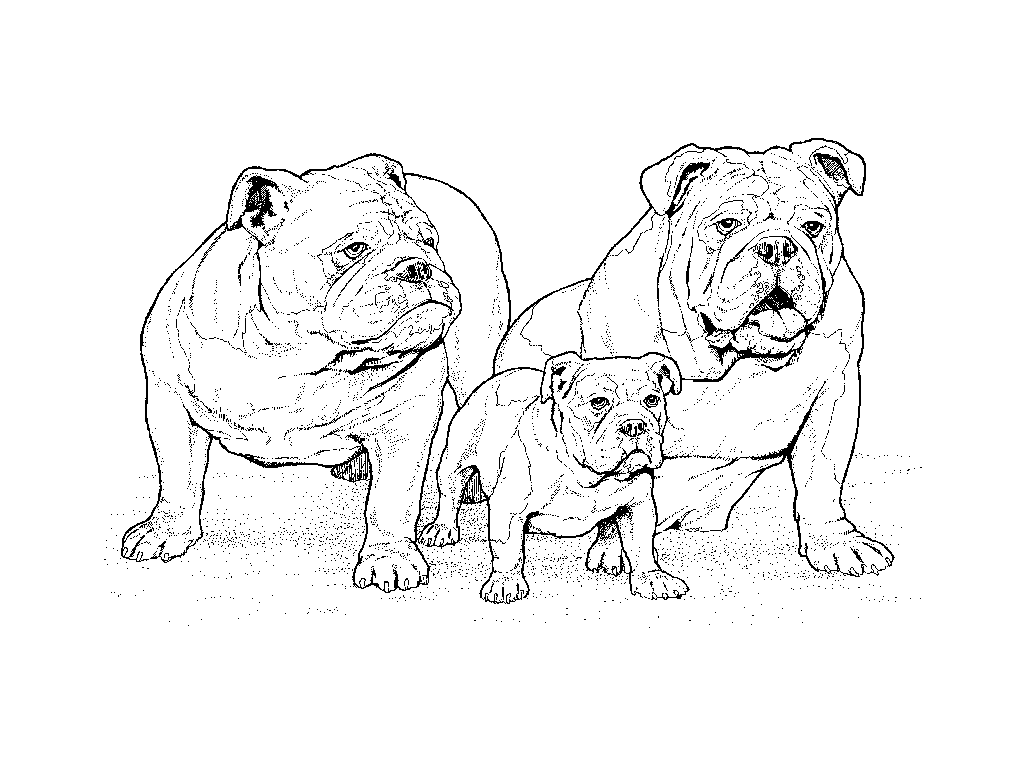 Dibujo para colorear: Cachorro (Animales) #3062 - Dibujos para Colorear e Imprimir Gratis