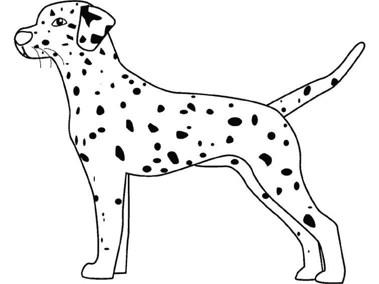 Dibujo para colorear: Cachorro (Animales) #3067 - Dibujos para colorear