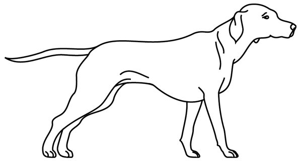 Dibujo para colorear: Cachorro (Animales) #3080 - Dibujos para colorear