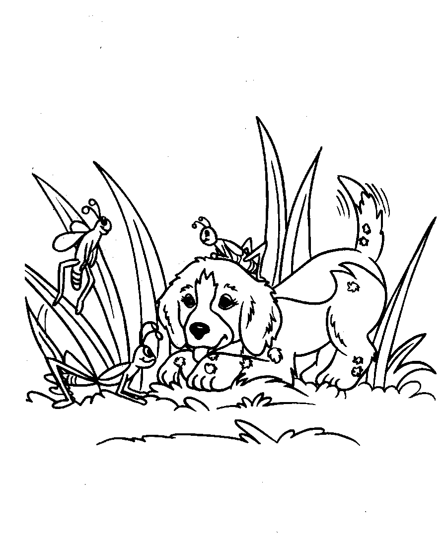 Dibujo para colorear: Cachorro (Animales) #3082 - Dibujos para colorear