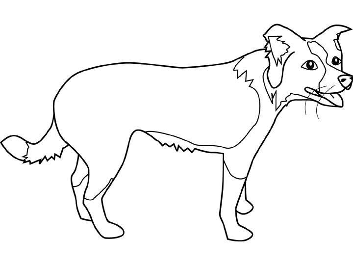 Dibujo para colorear: Cachorro (Animales) #3088 - Dibujos para colorear