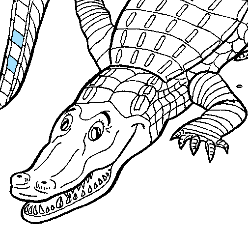 Dibujo para colorear: Caimán (Animales) #474 - Dibujos para Colorear e Imprimir Gratis