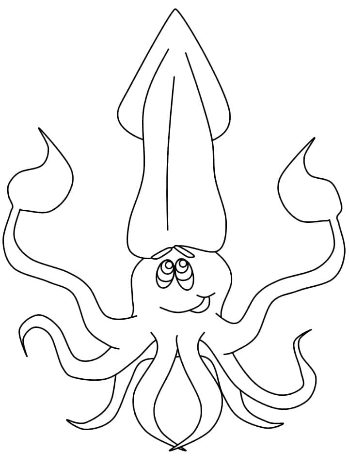 Dibujo gratuito Calamar #208869 de la coleccion Animales para imprimir