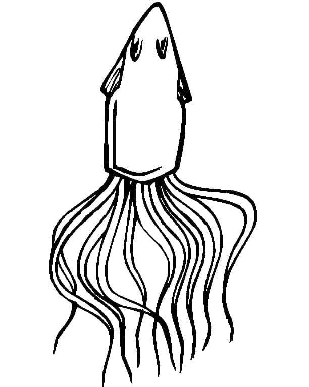 Dibujo gratuito Calamar #208877 de la coleccion Animales para imprimir
