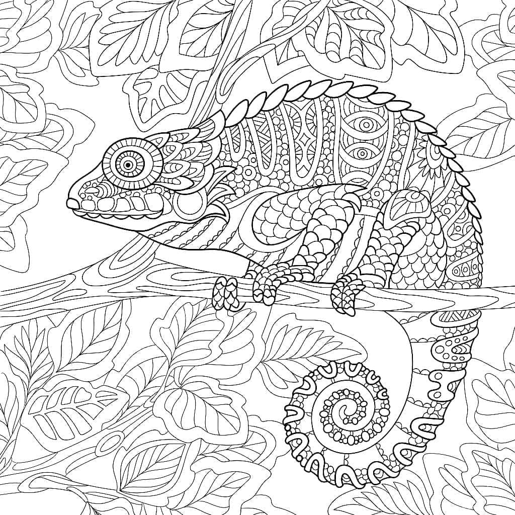 Dibujo gratuito Camaleón #206727 de la coleccion Animales para imprimir