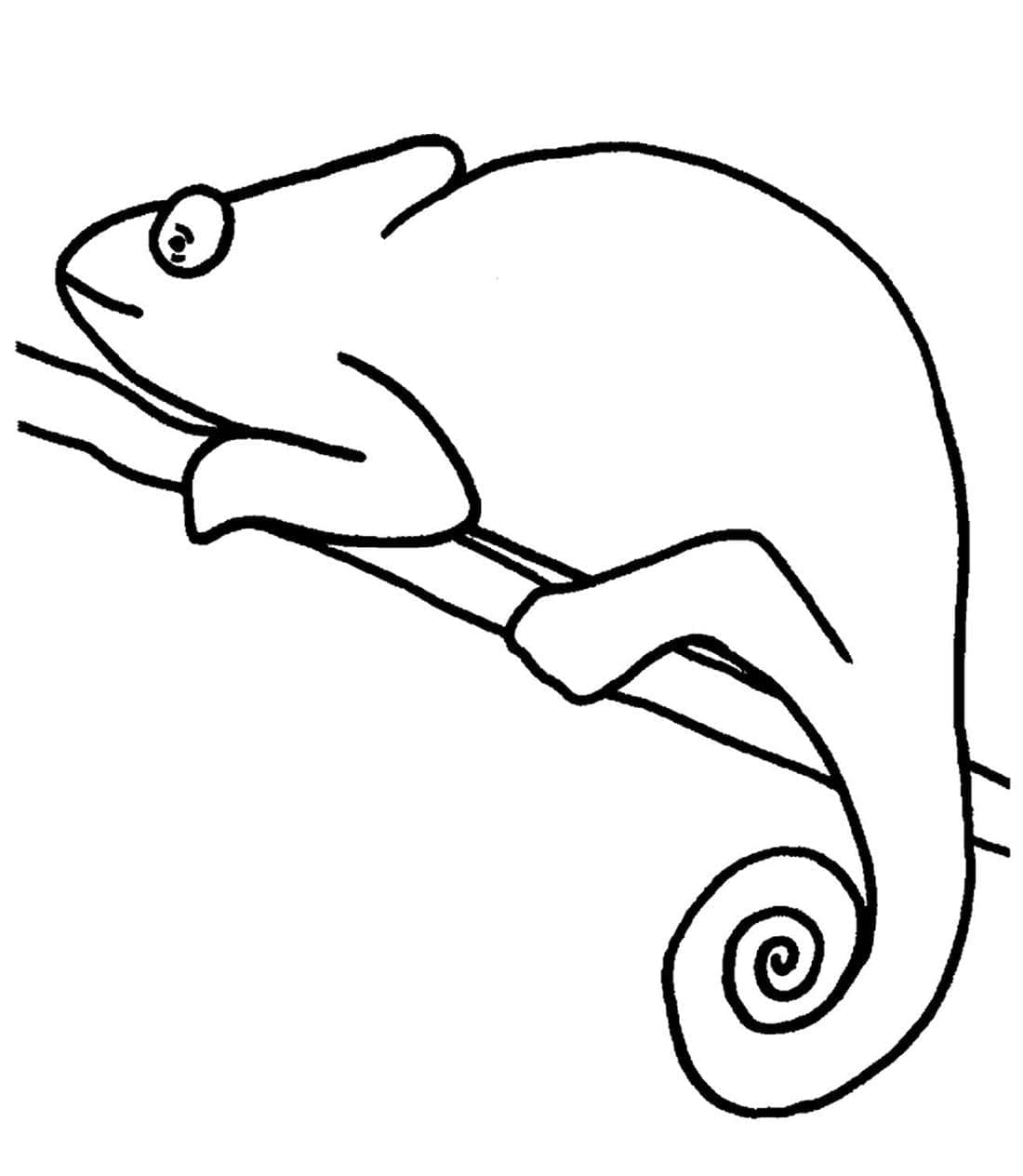 Dibujo gratuito Camaleón #206743 de la coleccion Animales para imprimir