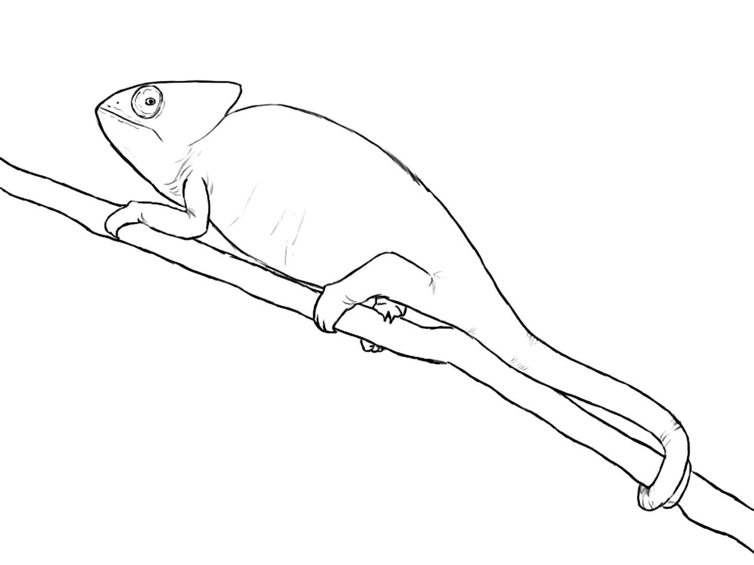 Dibujo gratuito Camaleón #206754 de la coleccion Animales para imprimir