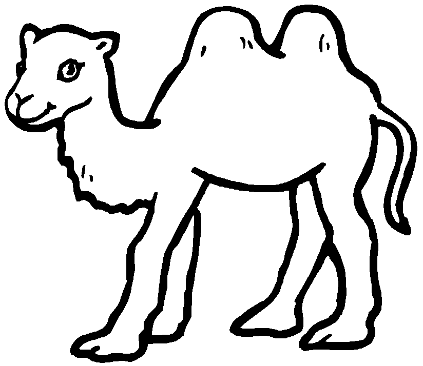 Dibujo para colorear: Camello (Animales) #1661 - Dibujos para Colorear e Imprimir Gratis