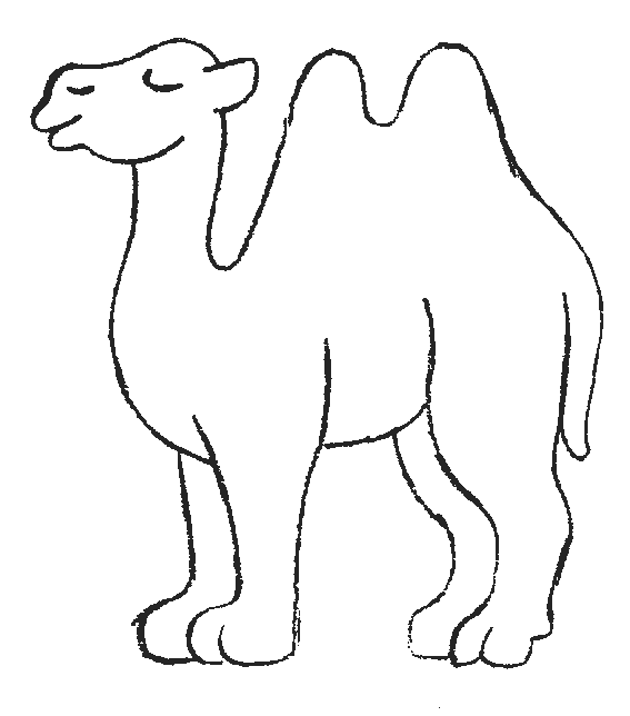 Dibujos de Camello (Animales) para colorear y pintar – Páginas para imprimir