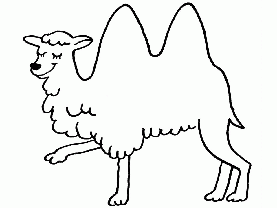 Dibujo para colorear: Camello (Animales) #1683 - Dibujos para Colorear e Imprimir Gratis