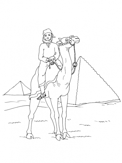 Dibujo para colorear: Camello (Animales) #1713 - Dibujos para Colorear e Imprimir Gratis