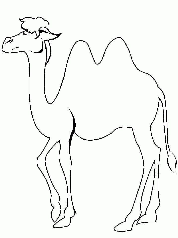 Dibujo gratuito Camello #205465 de la coleccion Animales para imprimir