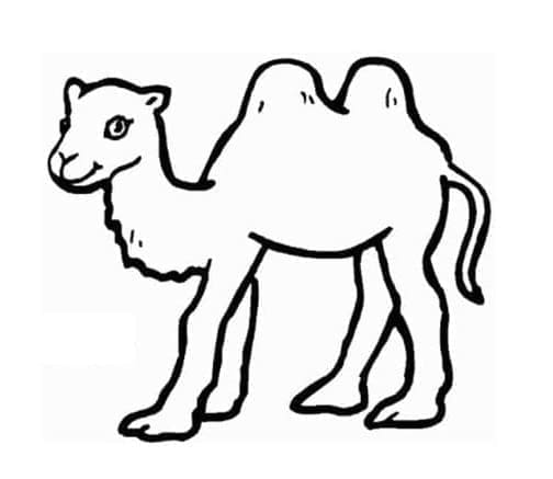 Dibujo gratuito Camello #205466 de la coleccion Animales para imprimir