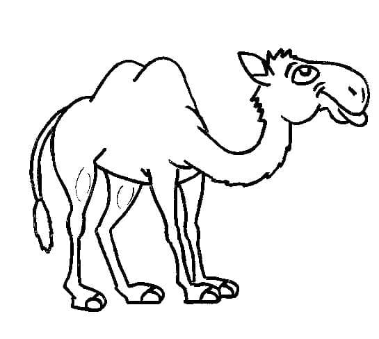 Dibujo gratuito Camello #205485 de la coleccion Animales para imprimir
