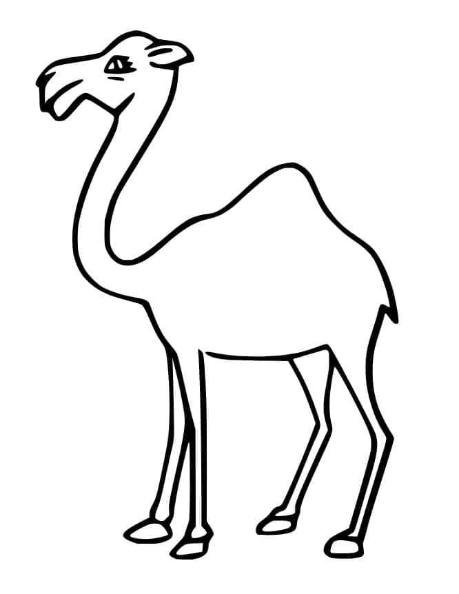Dibujo gratuito Camello #205494 de la coleccion Animales para imprimir