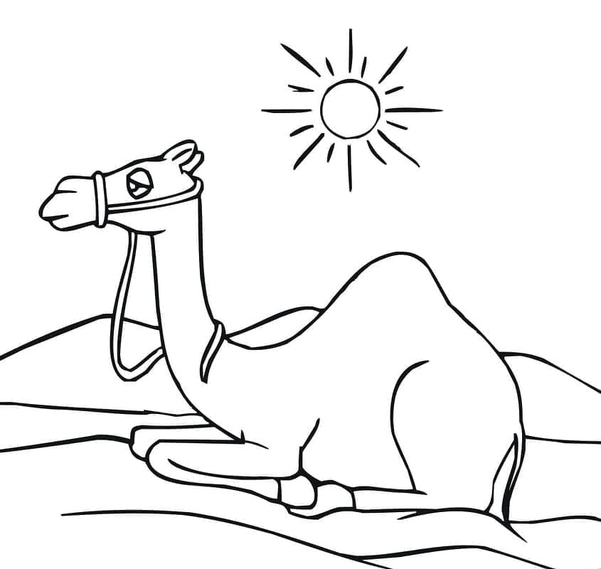 Dibujo gratuito Camello #205499 de la coleccion Animales para imprimir