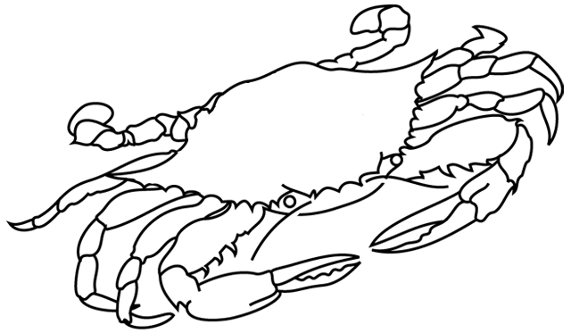 Dibujo para colorear: Cangrejo (Animales) #4622 - Dibujos para Colorear e Imprimir Gratis