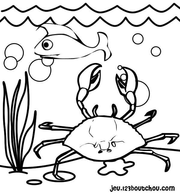 Dibujo para colorear: Cangrejo (Animales) #4663 - Dibujos para Colorear e Imprimir Gratis