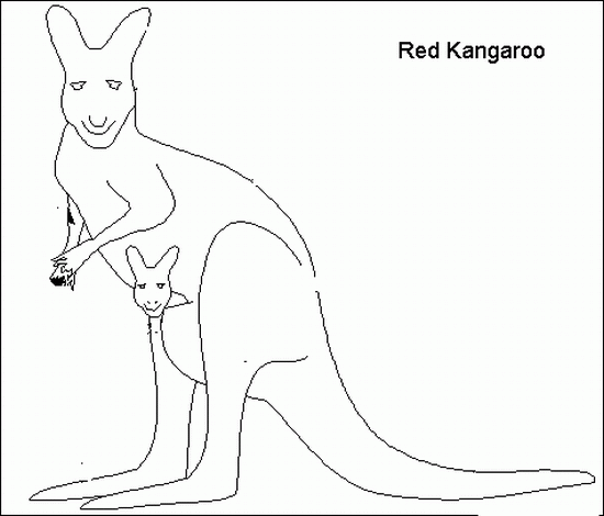 Dibujo para colorear: Canguro (Animales) #9123 - Dibujos para Colorear e Imprimir Gratis