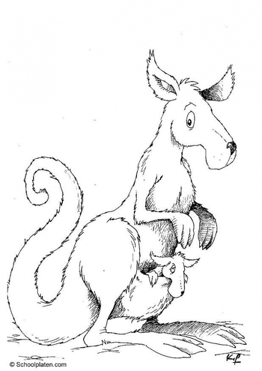 Dibujo para colorear: Canguro (Animales) #9147 - Dibujos para Colorear e Imprimir Gratis