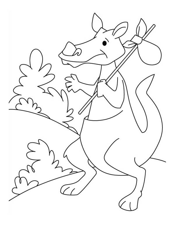 Dibujo para colorear: Canguro (Animales) #9252 - Dibujos para Colorear e Imprimir Gratis