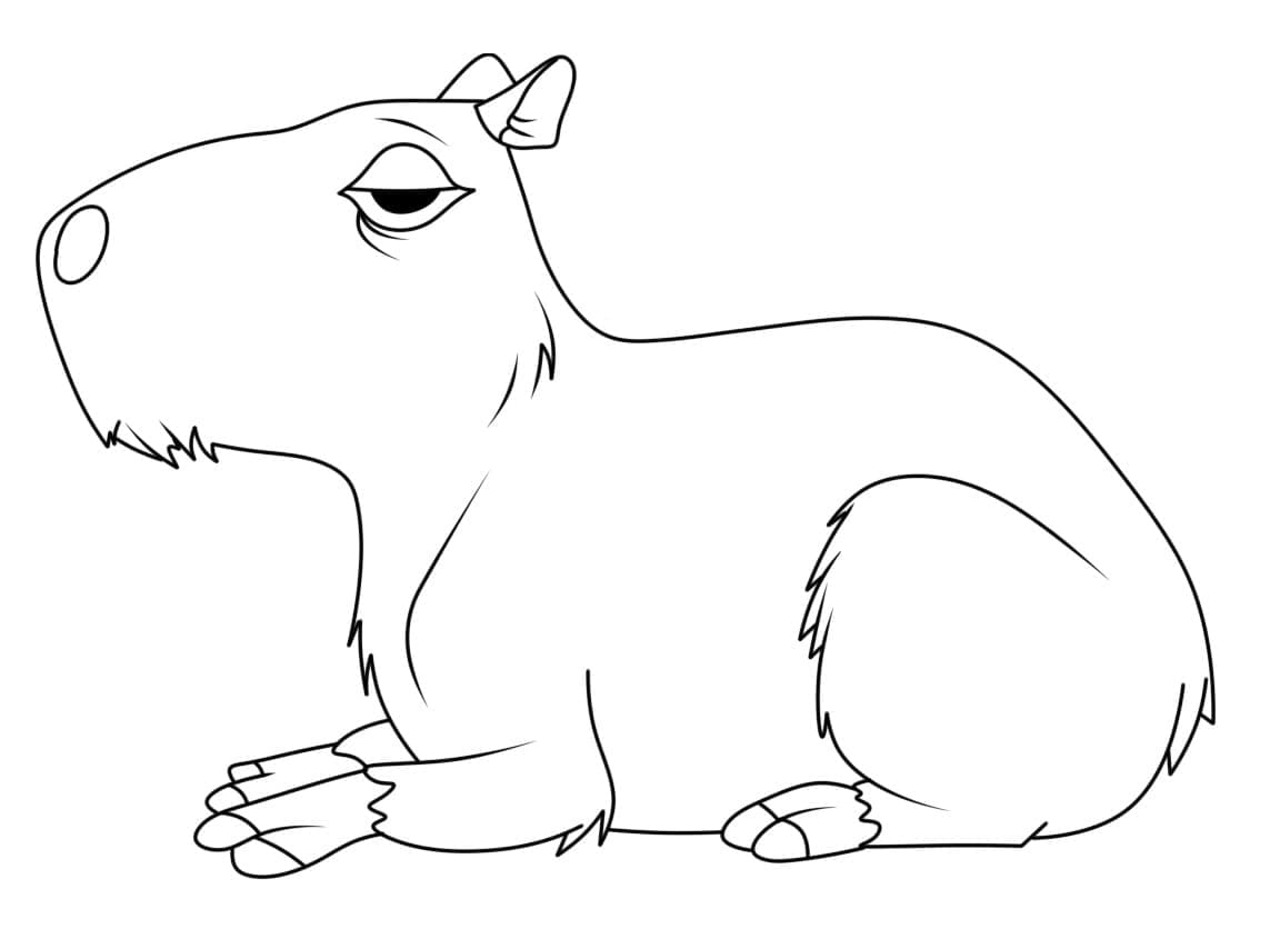 Dibujo gratuito Capibara #207587 de la coleccion Animales para imprimir