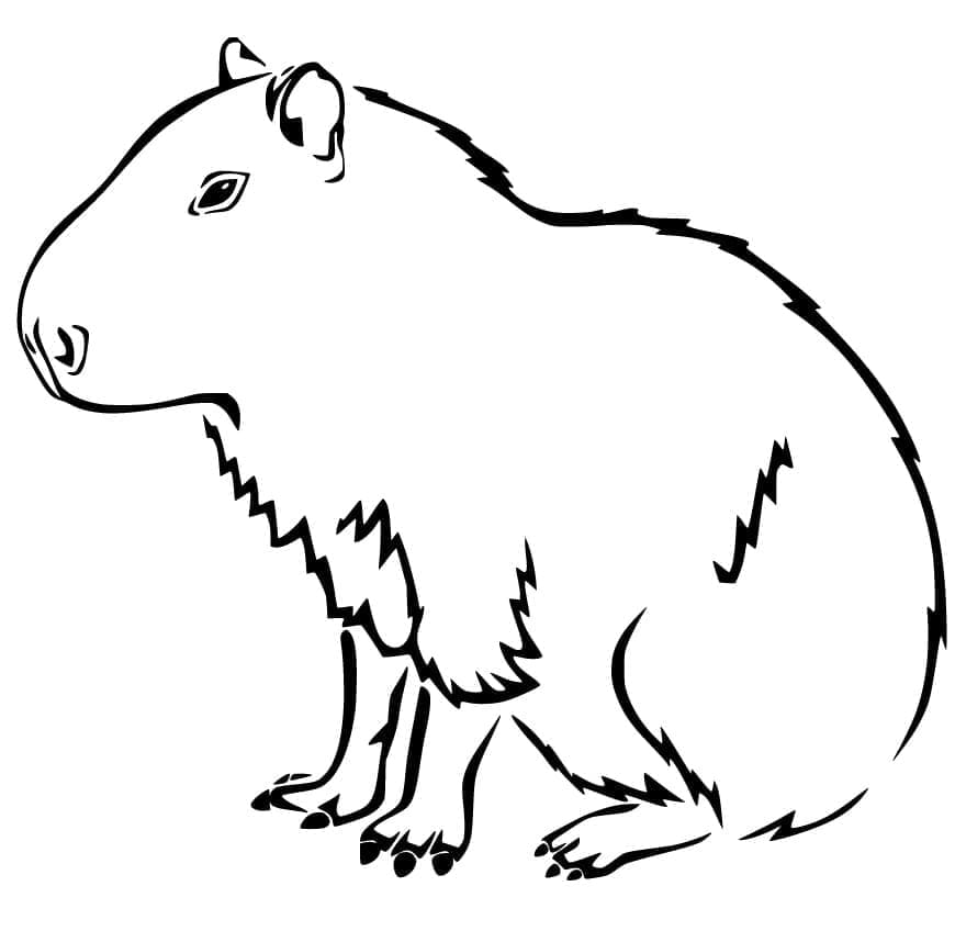 Dibujo gratuito Capibara #207588 de la coleccion Animales para imprimir