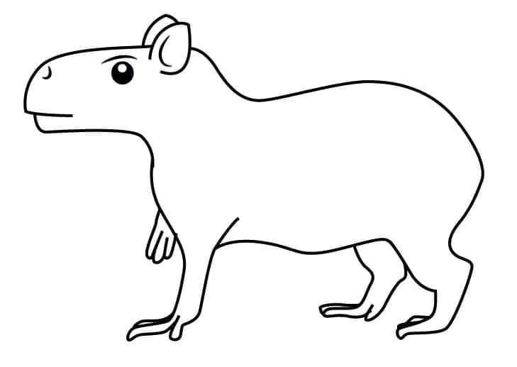 Dibujo gratuito Capibara #207592 de la coleccion Animales para imprimir