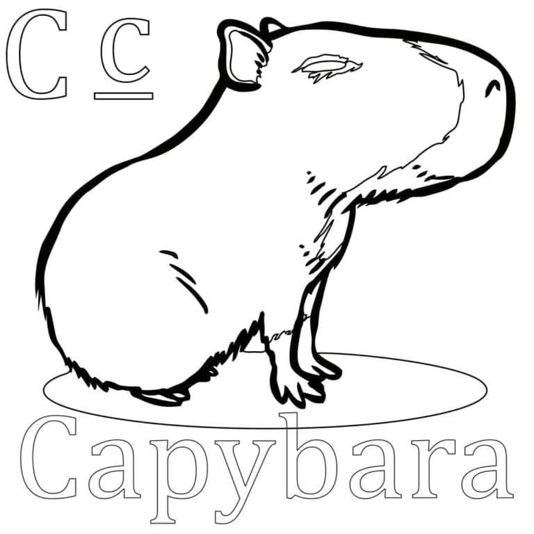 Dibujo gratuito Capibara #207603 de la coleccion Animales para imprimir